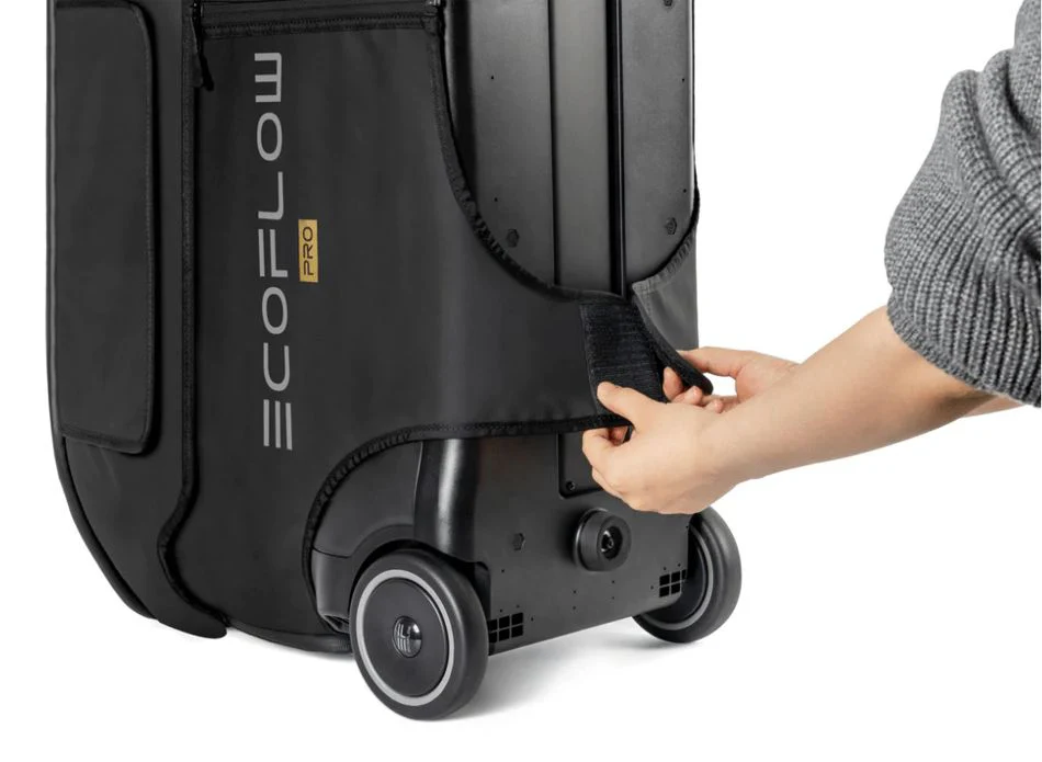 EcoFlow DELTA Pro Bag - Image 4