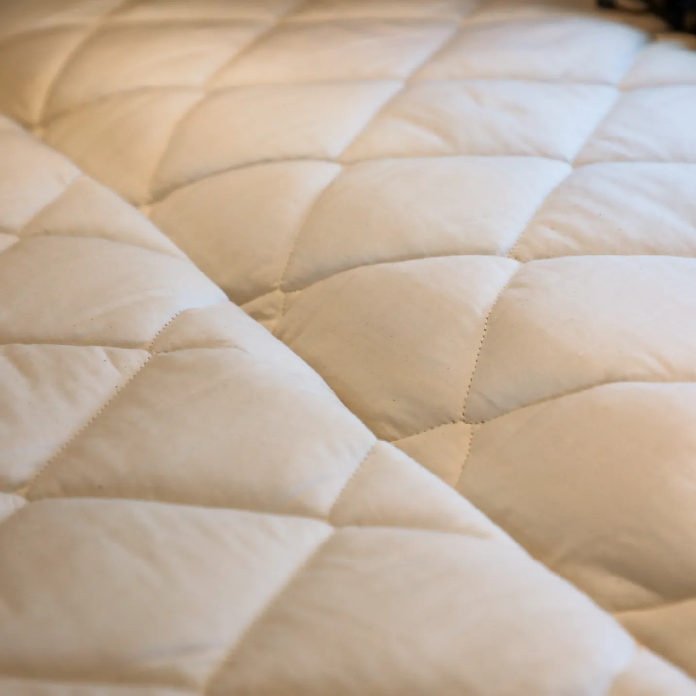 Canyon Adventure Vans Revel/GH1 Ultra Luxe Mattress Protector Pad - Image 2