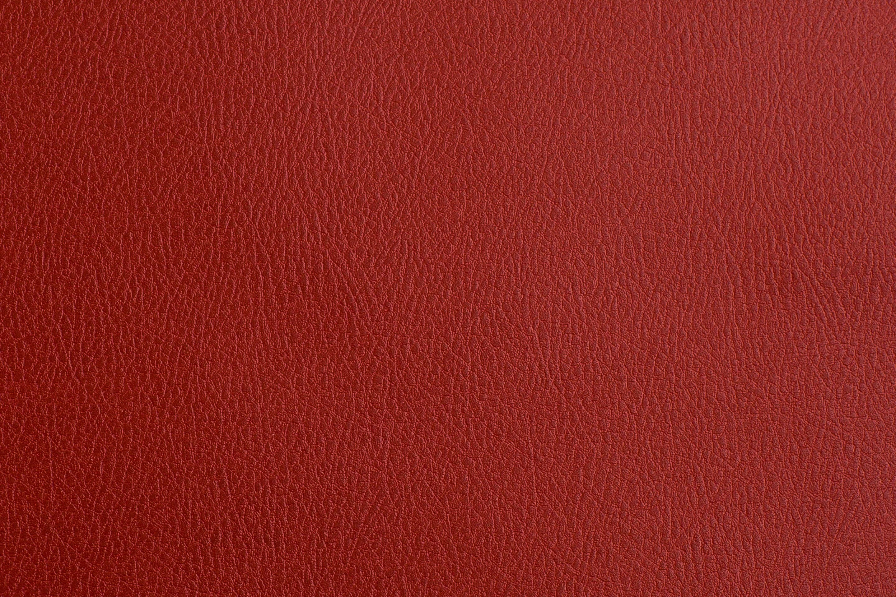 Sileather Mustang Series - Image 5