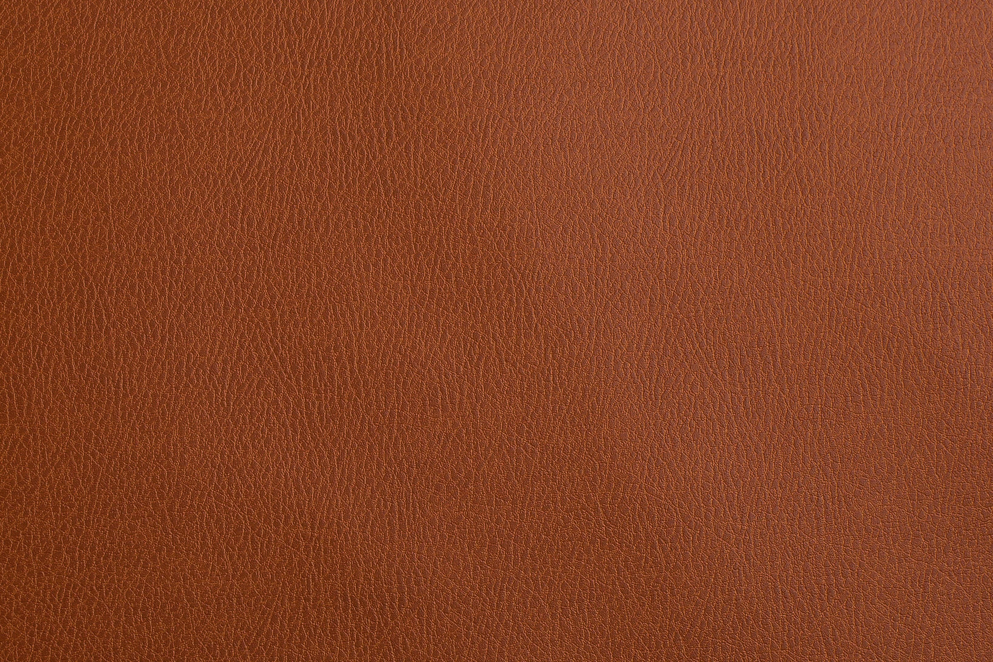 Sileather Mustang Series - Image 7